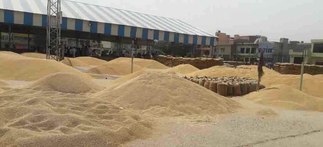 farmer facing selling crop 