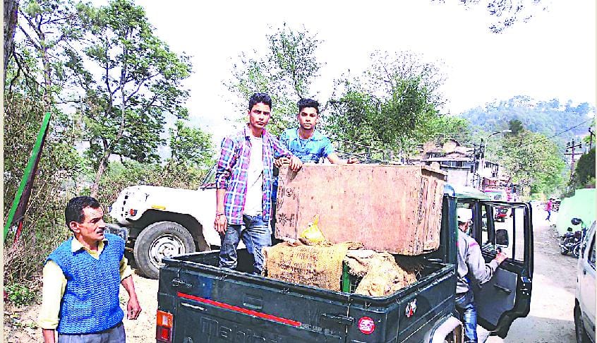 Forest Department planted monkey catch untrained staff