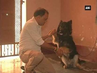 Ghaziabad: Dog thwarts armed robbery, saves owner's life