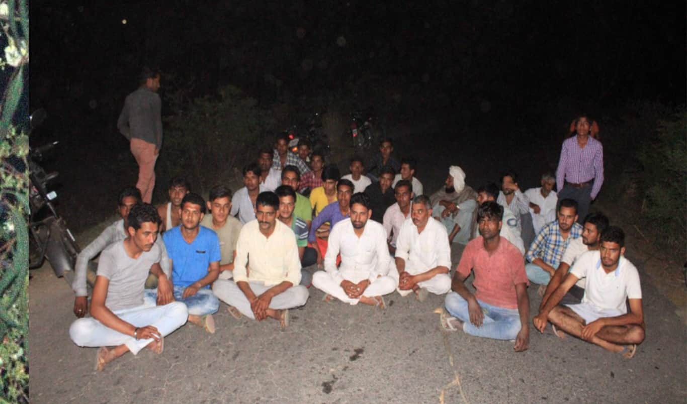 leopard on tree at yamunanagar, people in terror 
