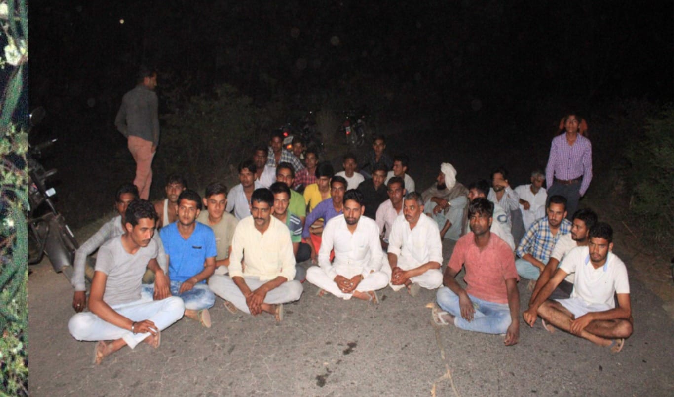 leopard on tree at yamunanagar, people in terror 
