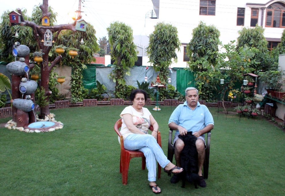 gardening, gardening in panchkula,  learned gardening from grandfather, panchkula