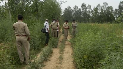 Unnao Murder: जंगल में पड़ा मिला राजमिस्त्री का शव, डंडे से सिर और चेहरे पर वार...फिर फोड़ दी आंखें, जांच शुरू Unnao Murder, Masons body found lying in the forest, hit on the head and face with a stick. then burst his eye