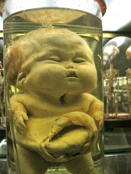 scariest museums