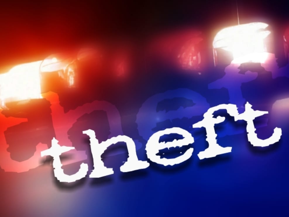 theft in farmers house in lucknow