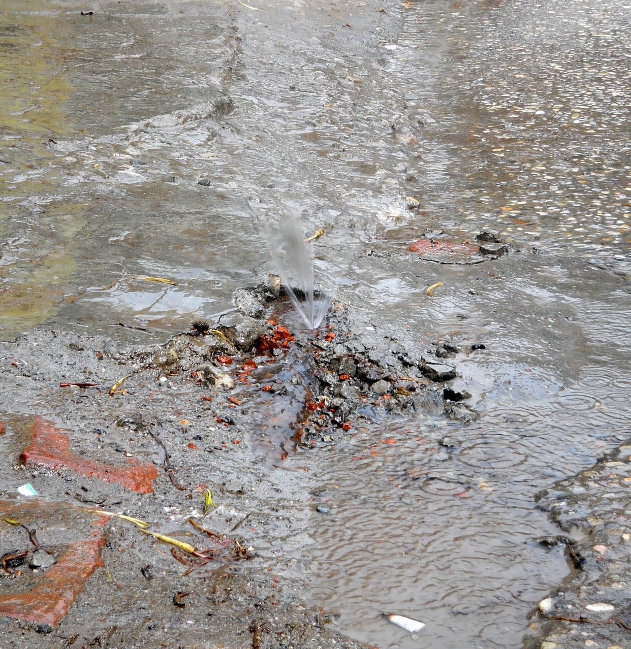 citizen worry about water