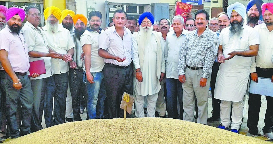wheat sale, ujagar singh badali, Wheat sales start in kurali mandi