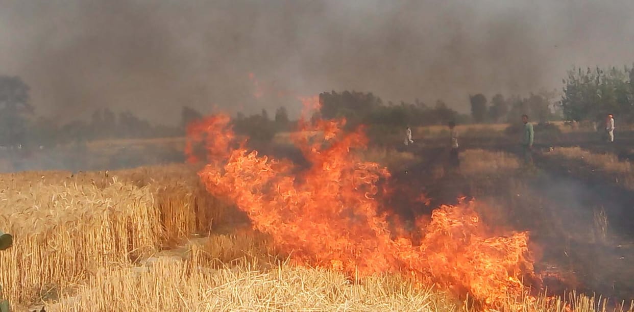 HT line sparking a fire in the fields