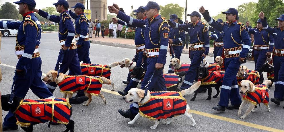  30 Labrador joined Dog Squad of delhi police