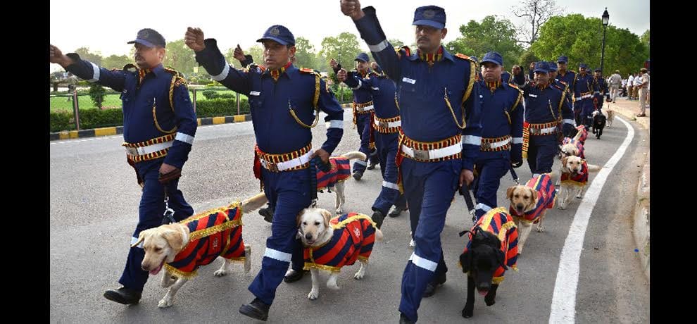 dogs will now take the security charge on line of control of india and pakistan
