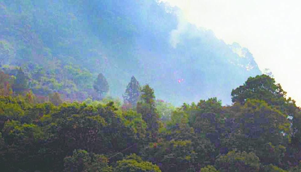 So in a quicklime, are still burning in the forest