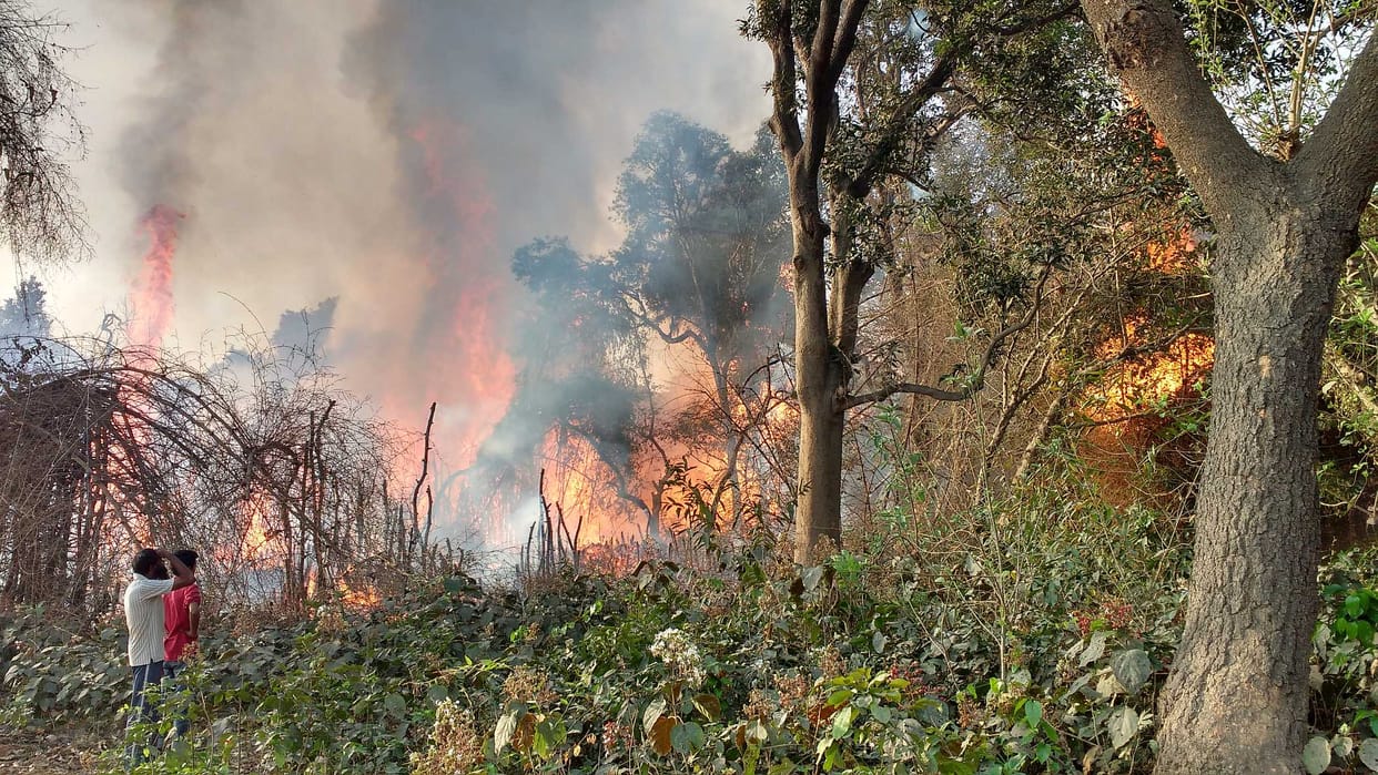 Fire in Forest, three hours later found a grip