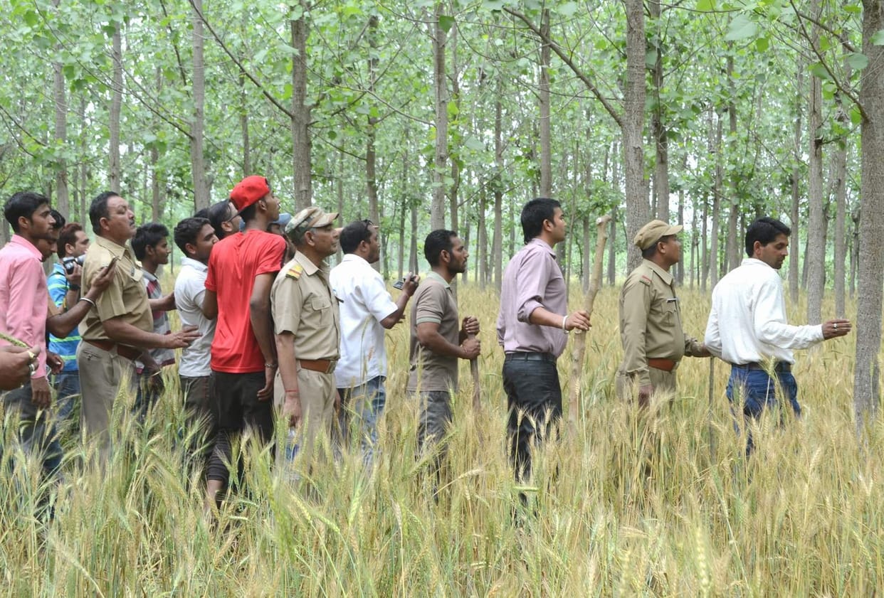 leopard terror in roorkee