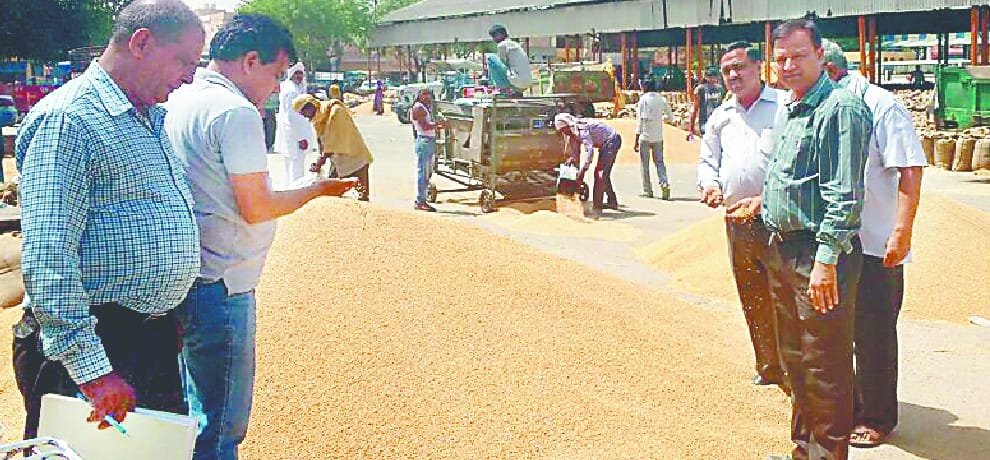 only two mandis are doing wheat purchase and sell