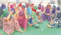fatehabada news, hindi news, protest in jat