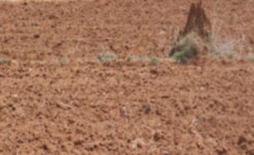 Soil