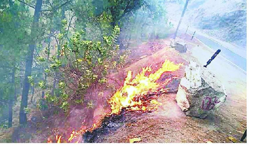 The forest fire near Swanla