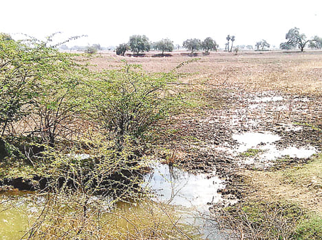 By ignoring the thousands of liters of waste water per day