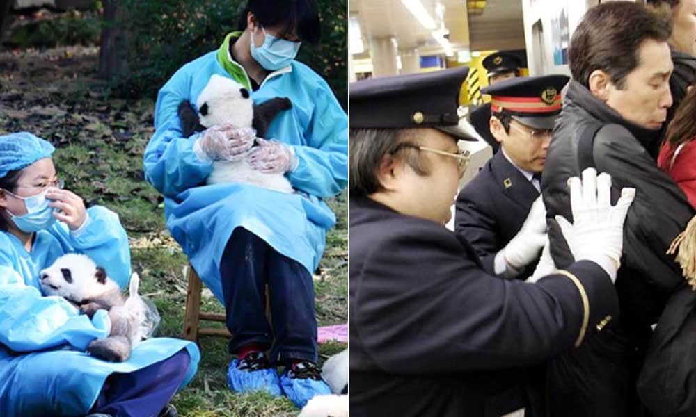 Weirdest jobs in the world