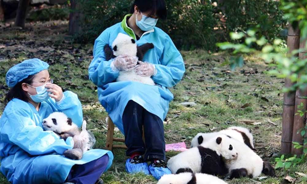 Weirdest jobs in the world