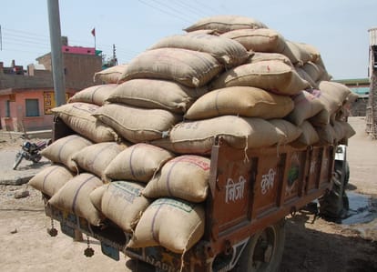 गेहूं खरीद