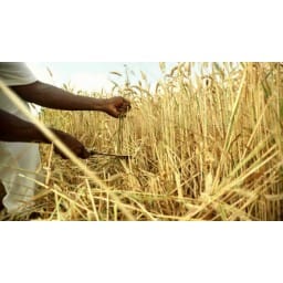 Danger, 430 villages, 14 fire brigade, manage