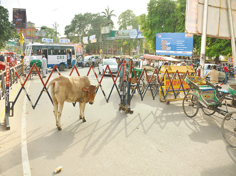Stress was sweltering court, litigant returned