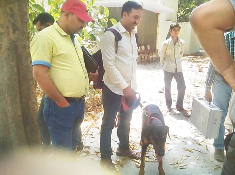 Bloodhound theft came on the second day, did not get a clue