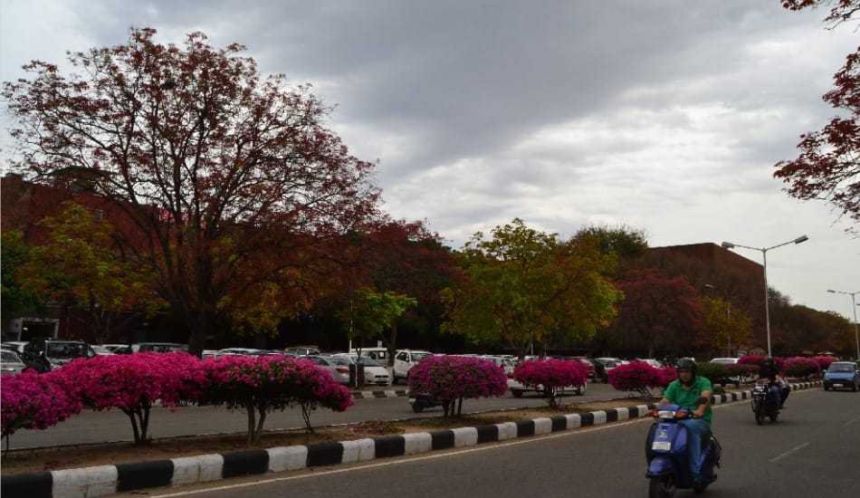 weather forecast of chandigarh, may be rain on 7