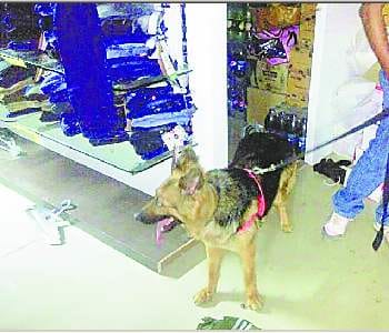  Five lakh theft at the Fashion Bazar mall