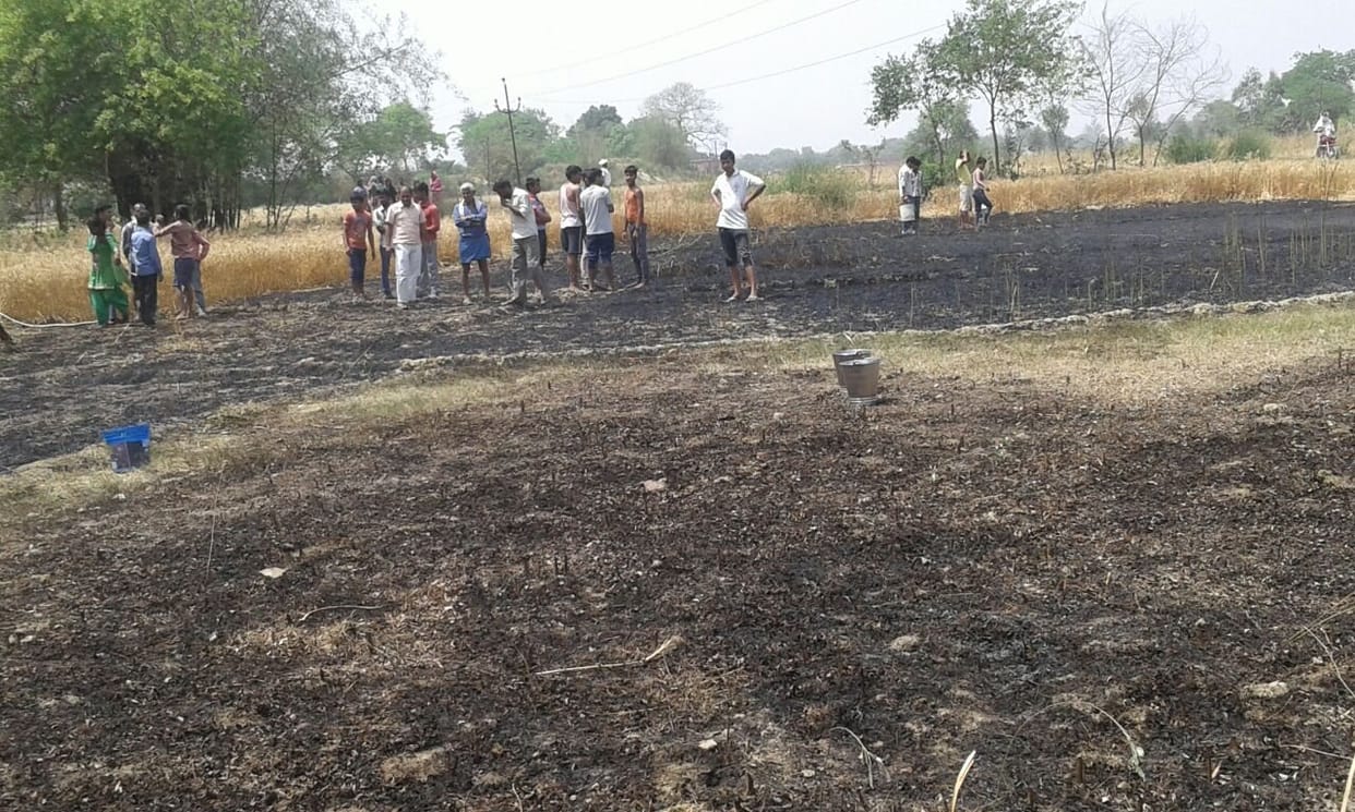 Wheat crops burnt in sitarganj