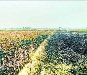 The fire burned 53 acres of wheat field crop