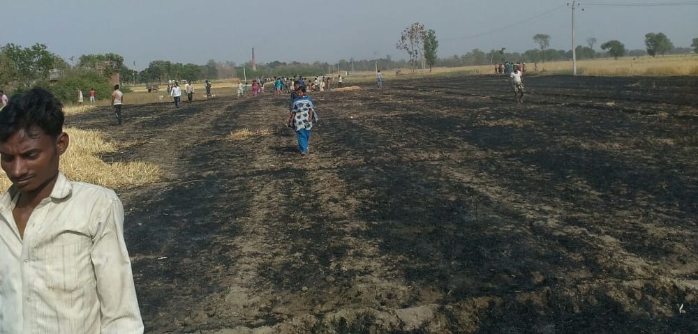 Farmers burning desire