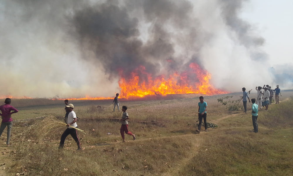  41 acres wheat crop on fire