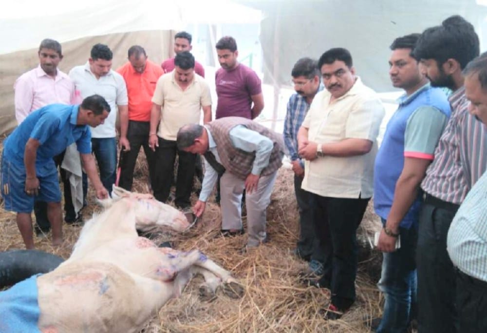 harish rawat visited to see shaktimaan