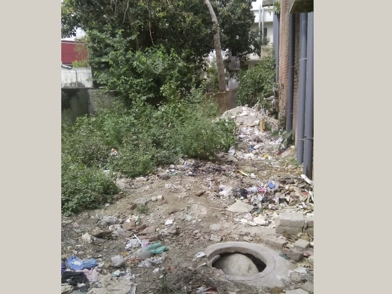 Jalandhar 's Civil Hospital, injection, mosquitoes terror, jalandhar