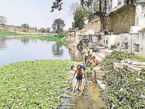 Mandakini continue cleaning