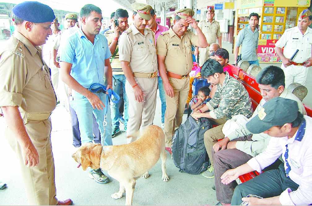 tanzil ahmed murder case