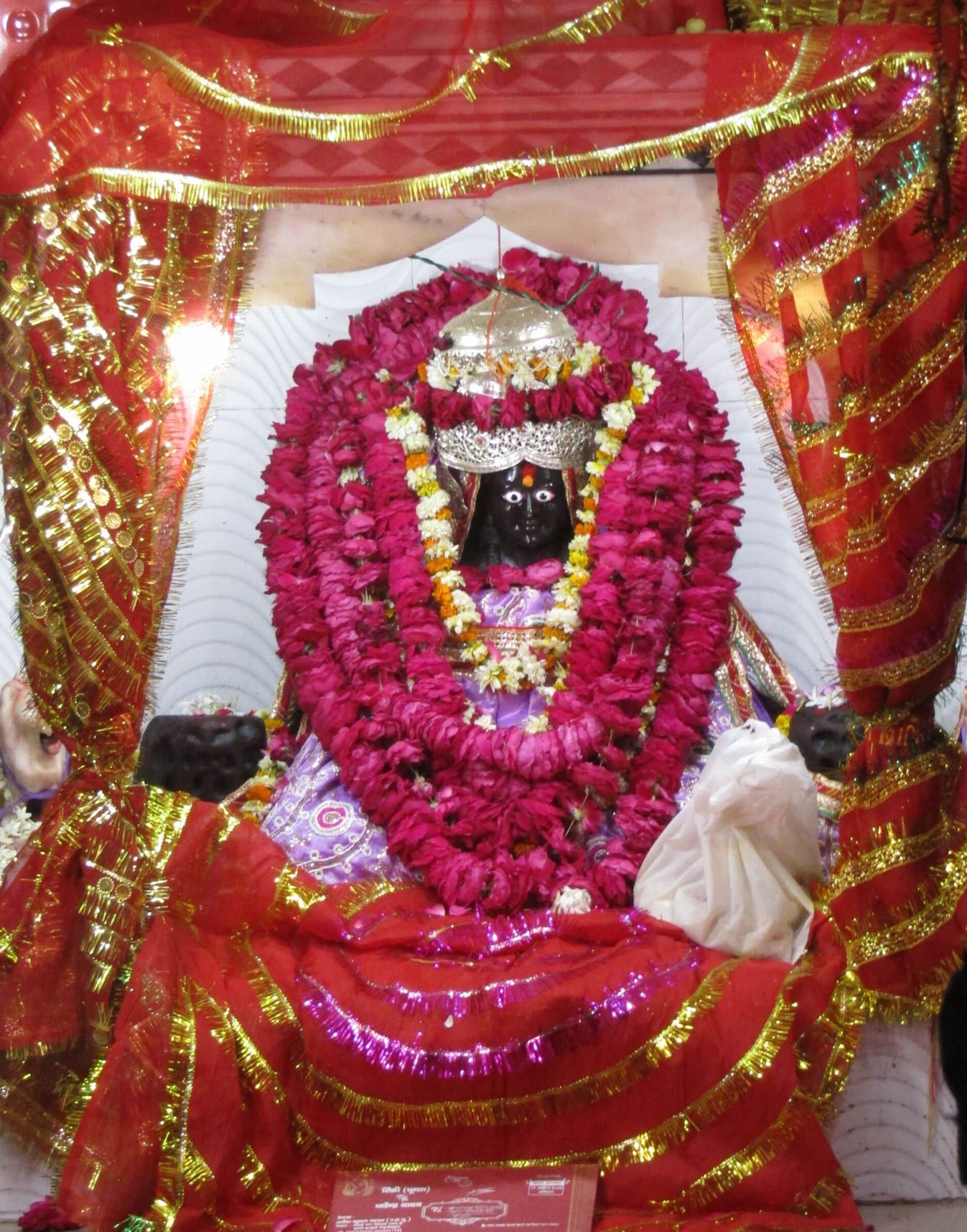 Gupta Navaratri worship Mother Shakti With this mantra, will remove all the distress