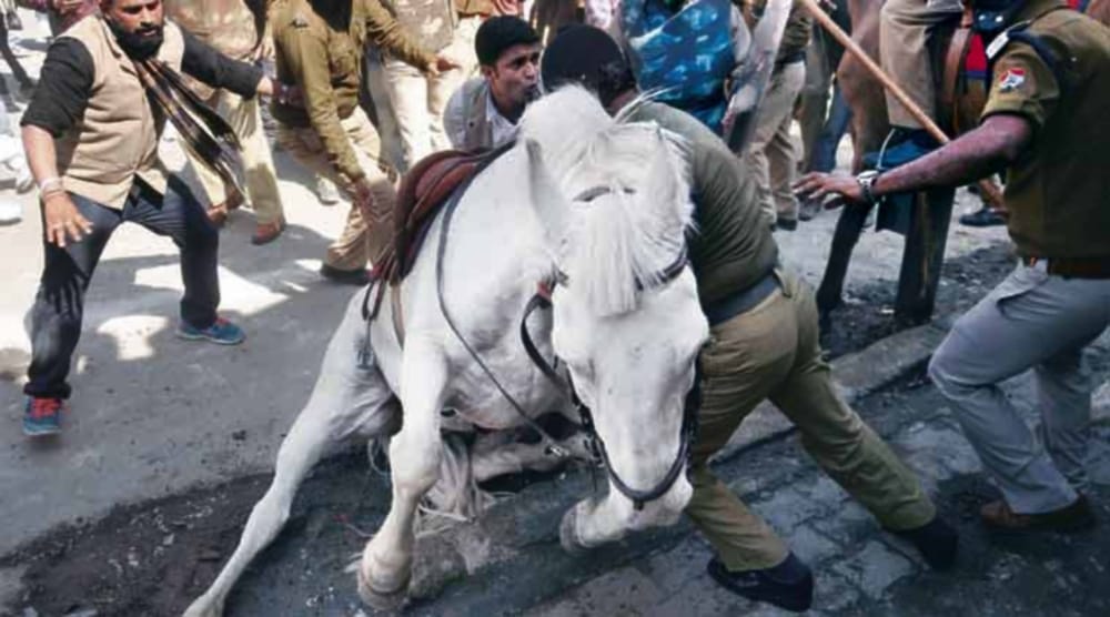 police horse shaktiman recover from injury