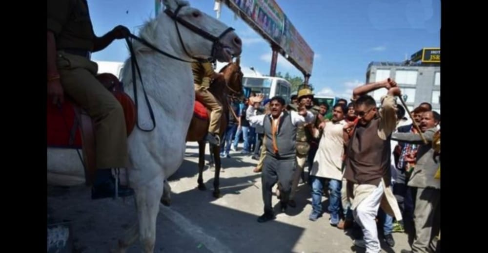police horse shaktiman recover from injury