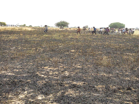 High tension wire fell on wheat crop