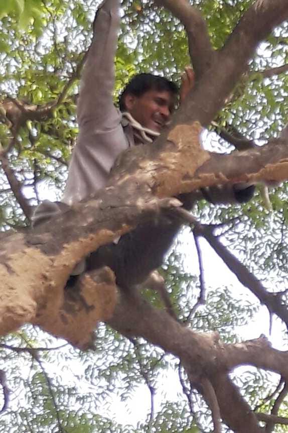 Housing officer on campus trees The young man went, the threat of suicide