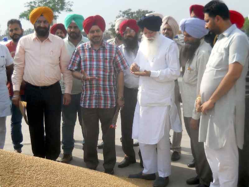 visit anaj mandi,  agriculture minister tota singh, weat session, fahehgarh sahib 