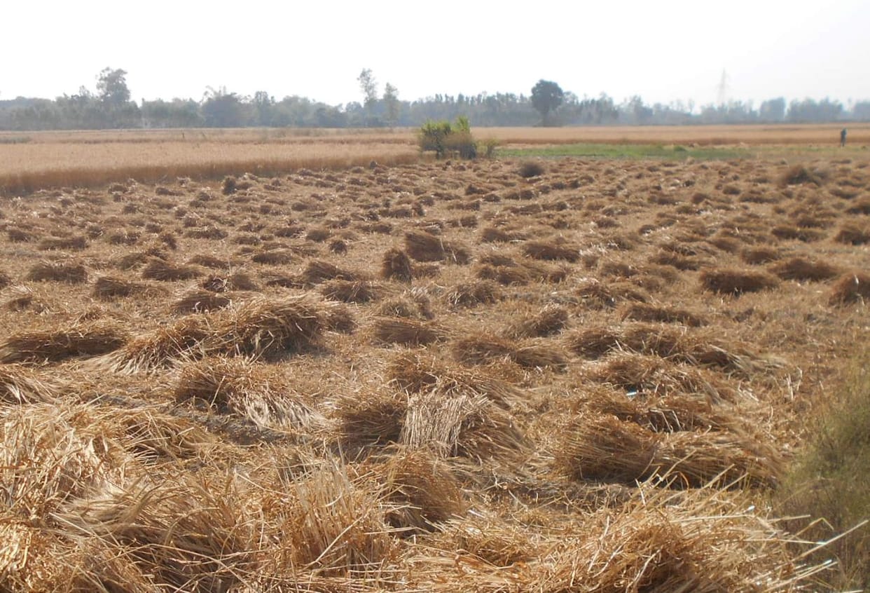 Weather raised anxiety of three lakh farmers