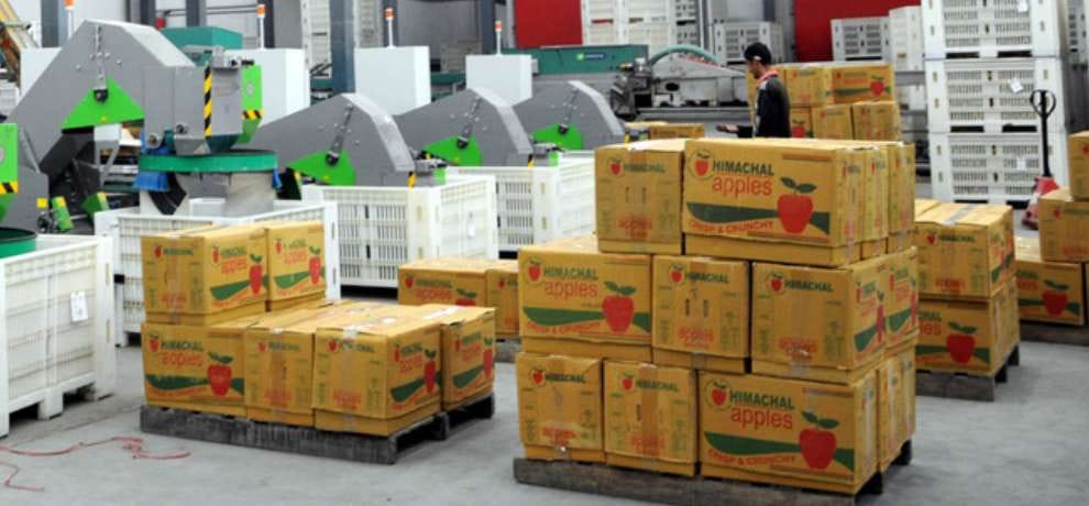 cardboard industry association decided to hike price of cardboard
