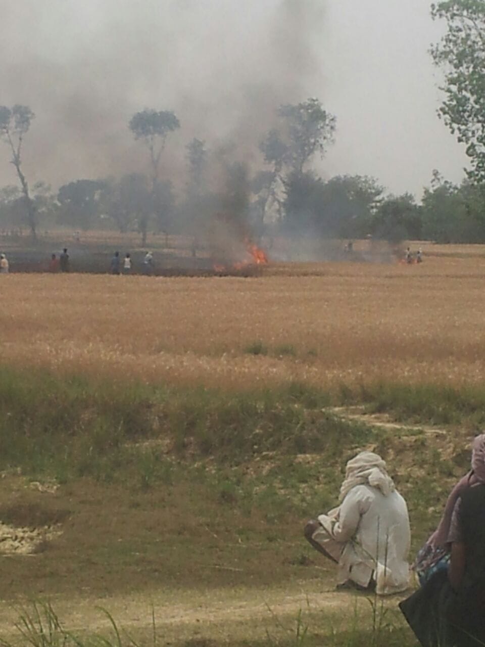 Arman farmers with fire ash