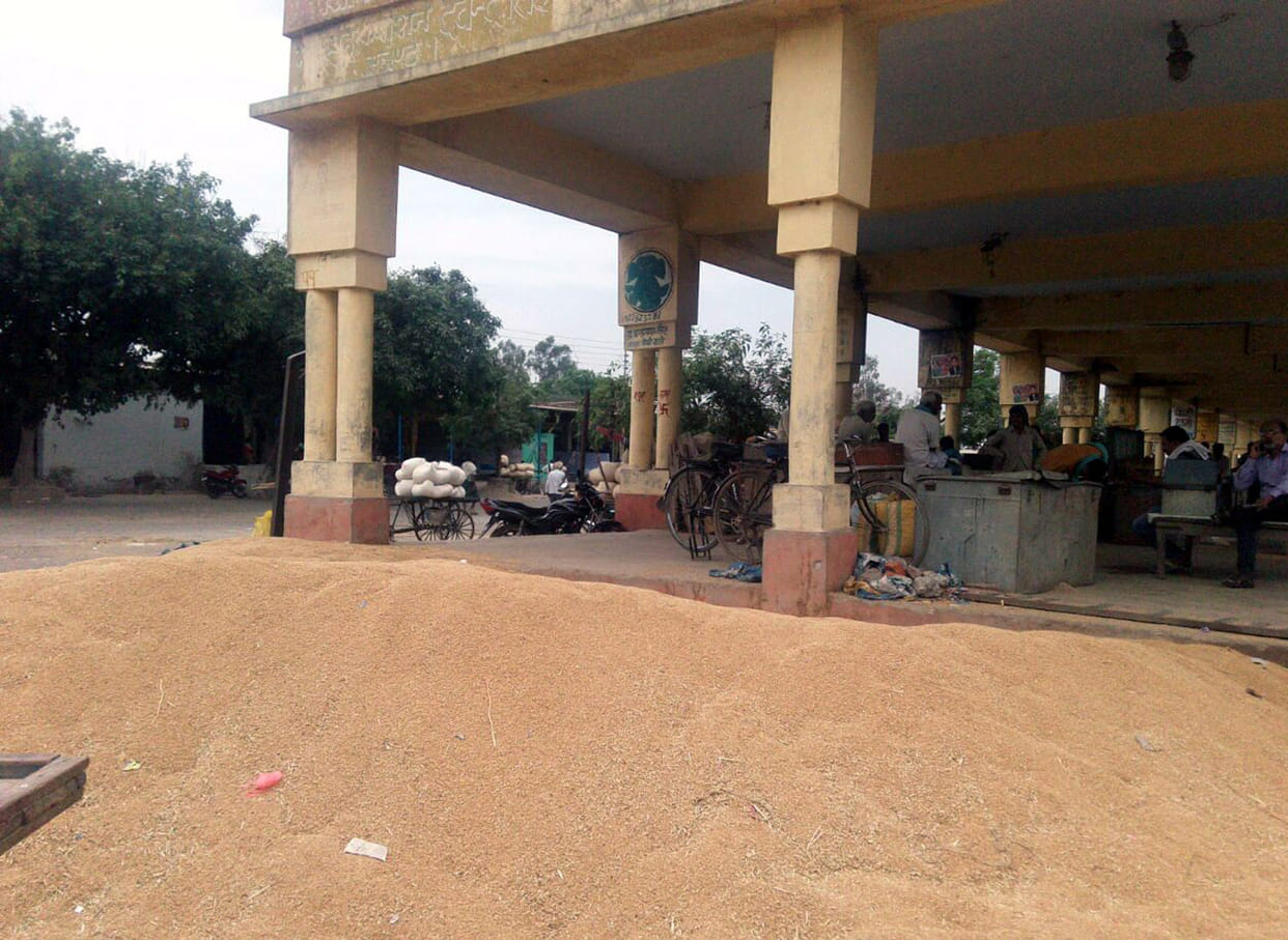 gehoon kharid in rampur