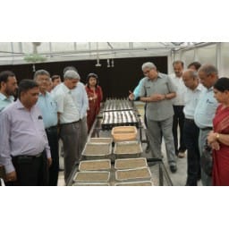 hau, hau hisar, hisar hau program, any weather plantation, hisar, haryana 
