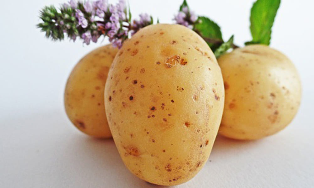 tips for tan free skin